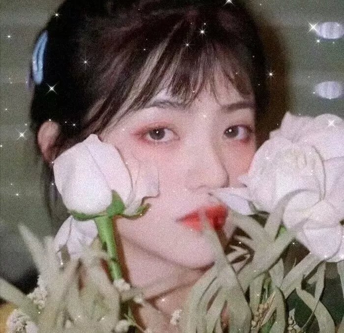 红粉女海盗